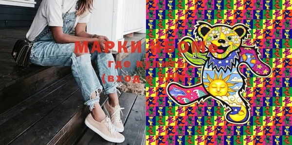 шишки Няндома