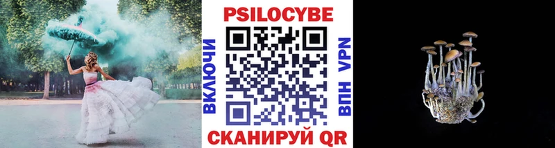 Галлюциногенные грибы Cubensis  Купить  Саранск 